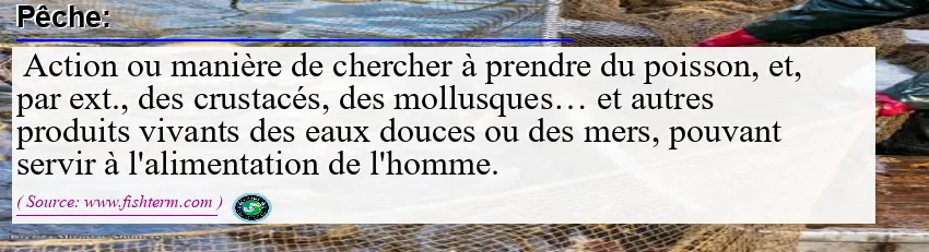 Image: Definition of pêche