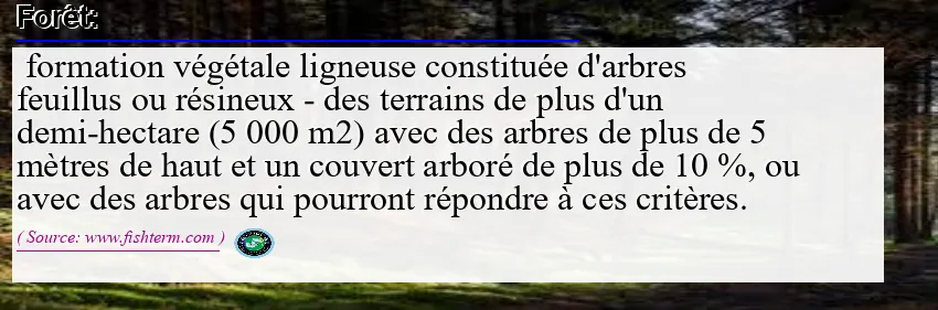 Image: Definition of forêt