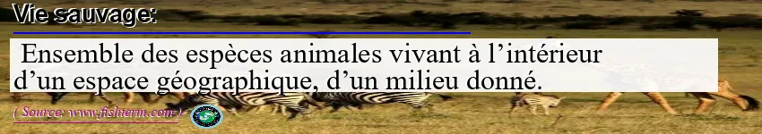 Image: Definition of faune