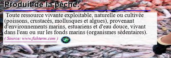 Image :  Définition de produit de la pêche