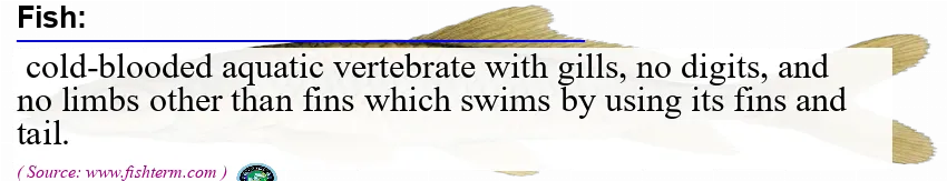 Image: Definition of fish