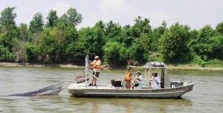 SHRIMP BOAT