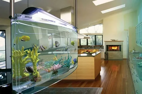 aquarium