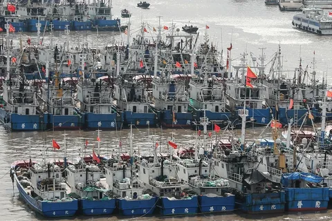 Fishing fleet